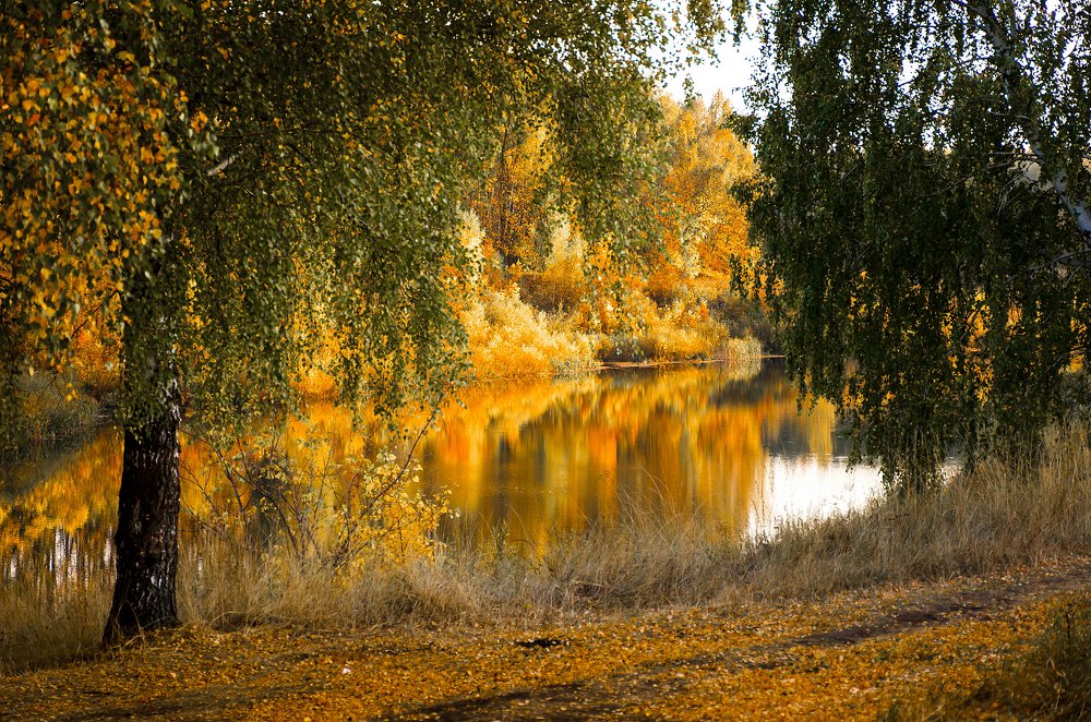 Photograph by Чурляев Максим