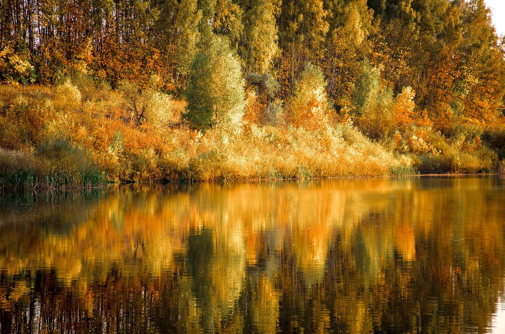 Photograph by Чурляев Максим