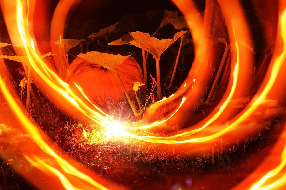 Photograph by Jelena Dzene