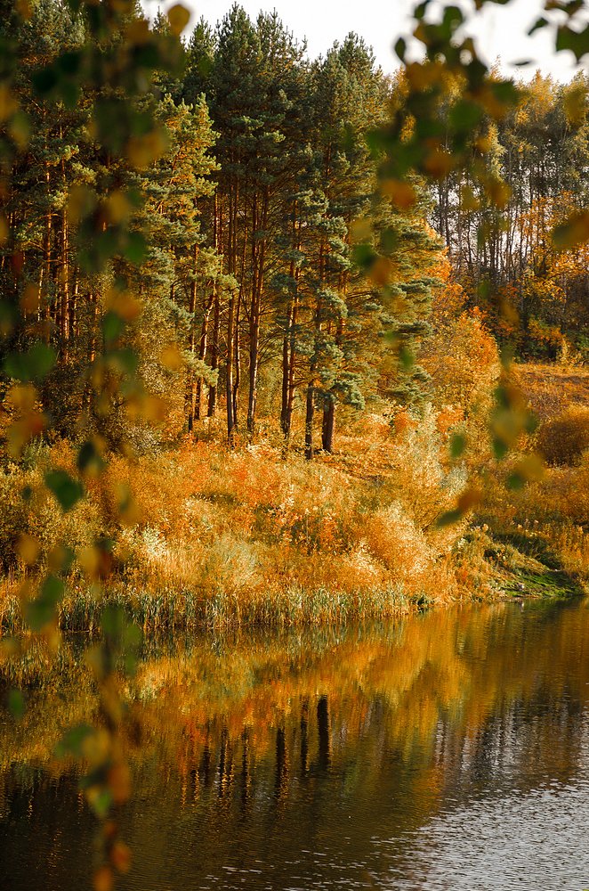 Photograph by Чурляев Максим