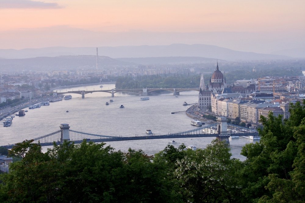 Жизнь в розовом цвете