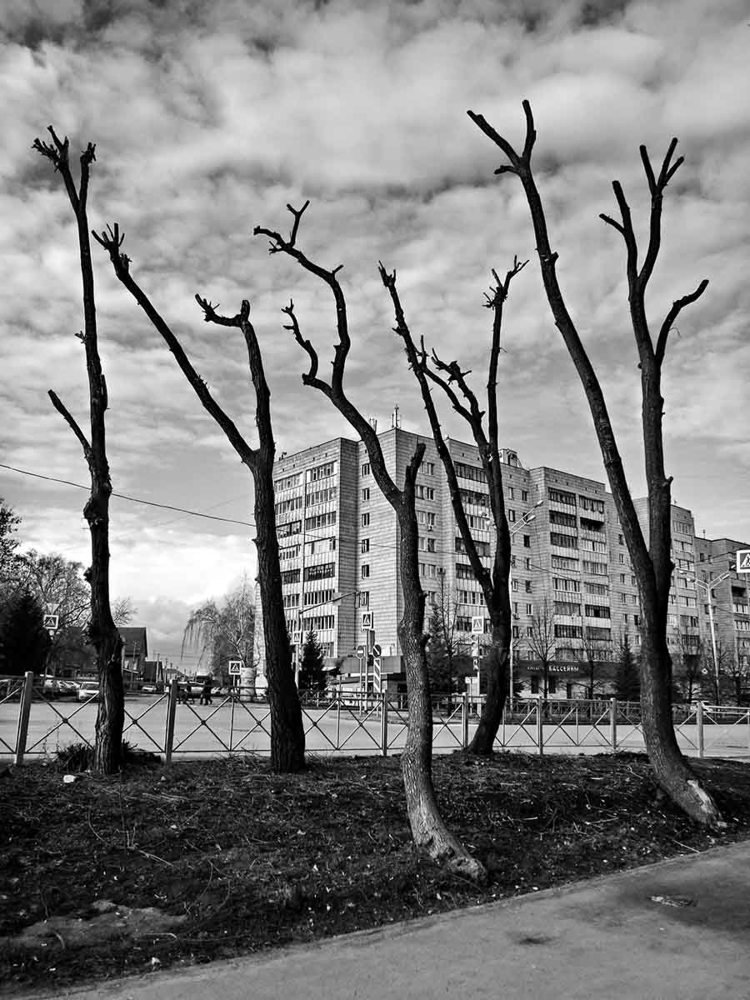 Photograph by Игорь Пшеничников