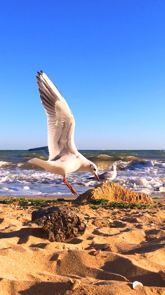 Photograph by Anna Krasova