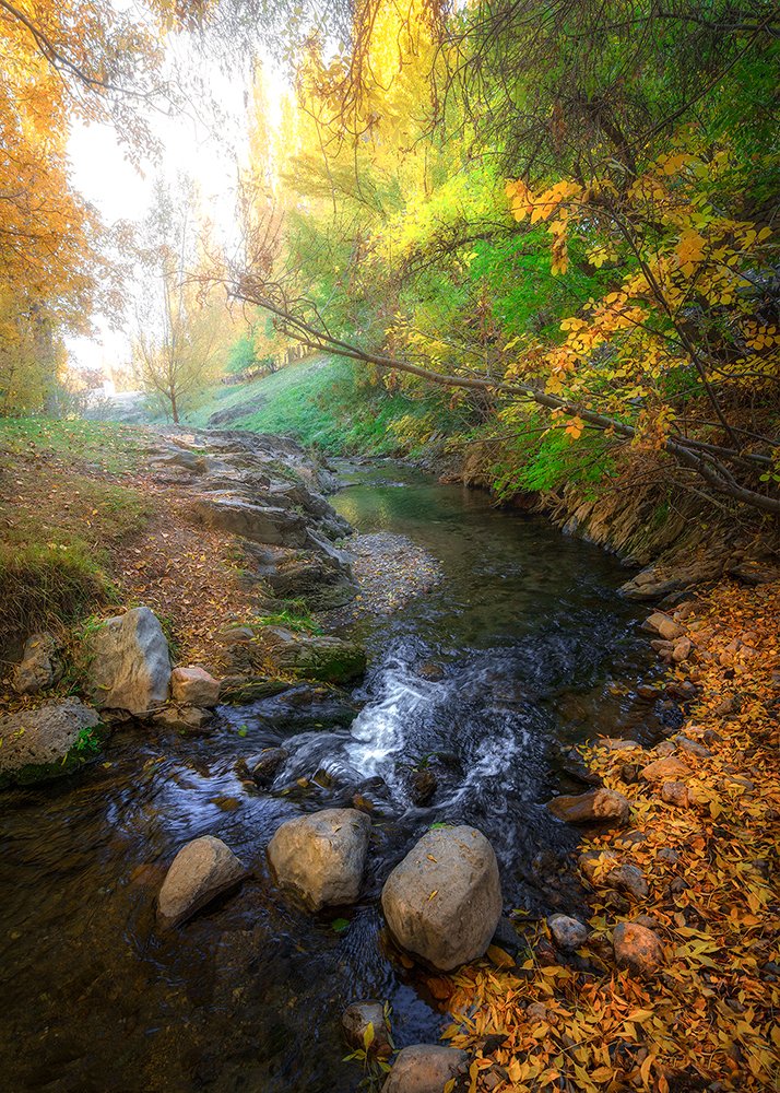 Photograph by sajjad saadat