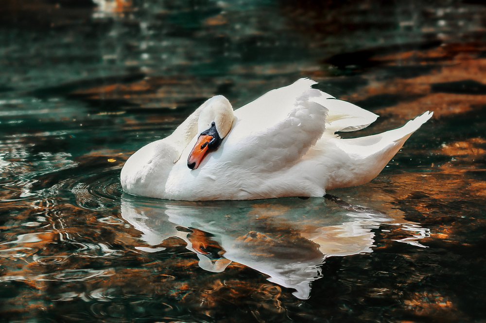 Photograph by Екатерина Кулакова