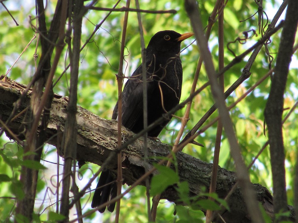 Photograph by Тихонина Анна