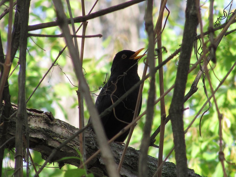 Photograph by Тихонина Анна