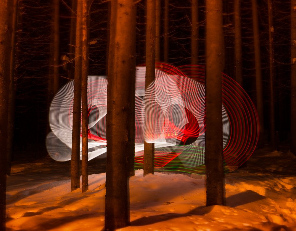 Таинственный лес