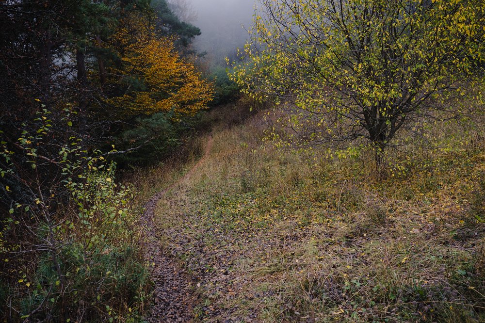 Photograph by Елена Молчанова