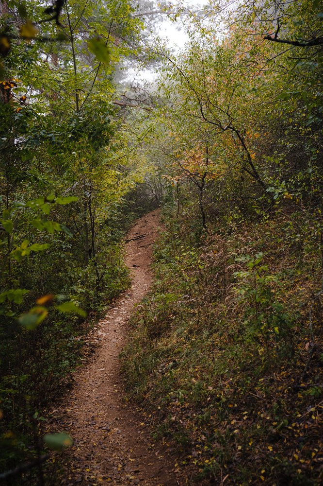 Photograph by Елена Молчанова