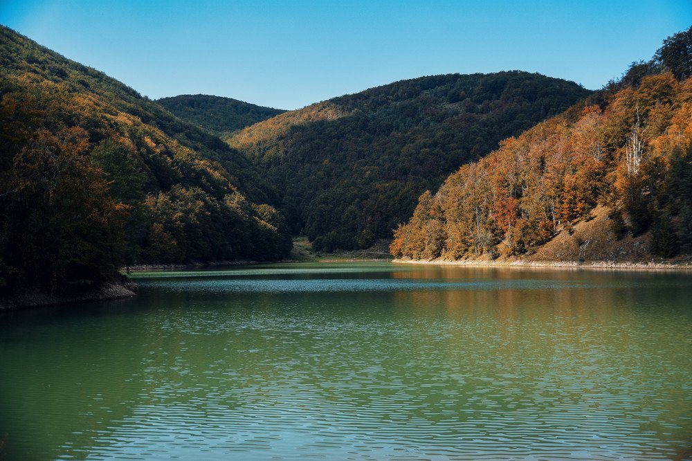 Photograph by Plesa Ioan Dan