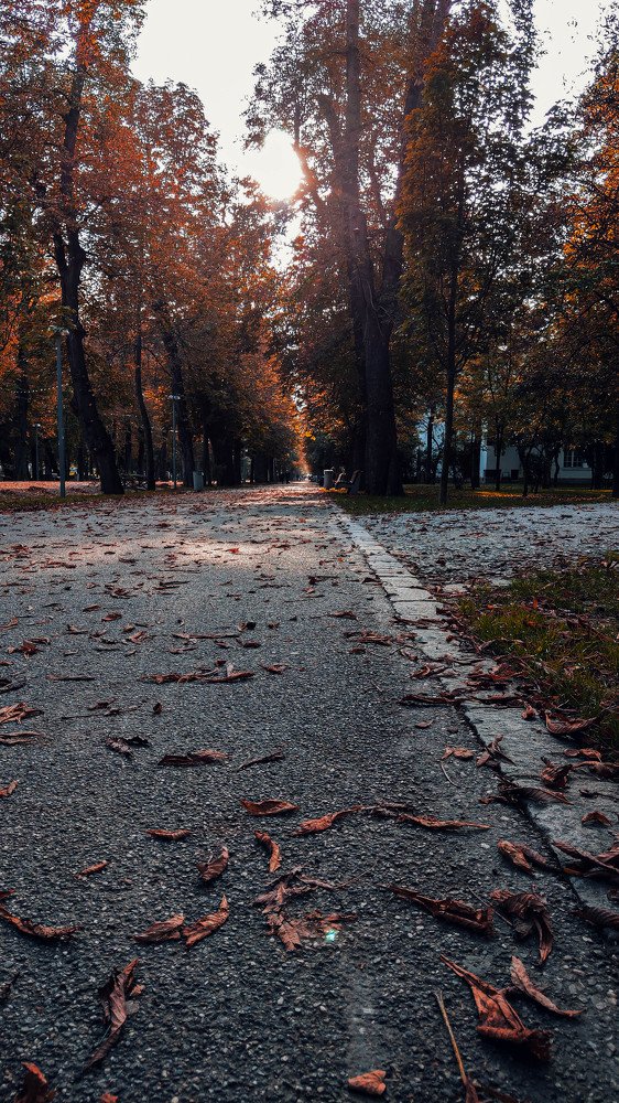 Photograph by Plesa Ioan Dan