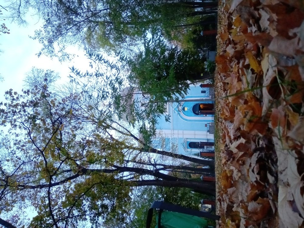 Церковь в парке
