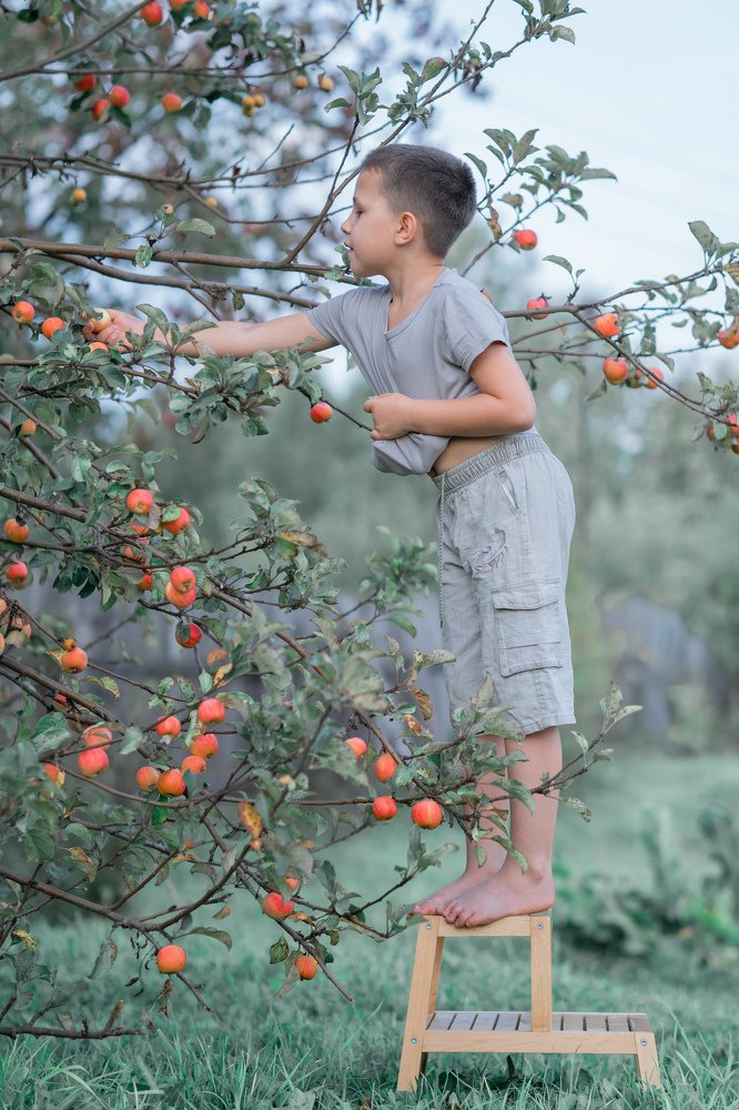 Photograph by Елена Воронцова