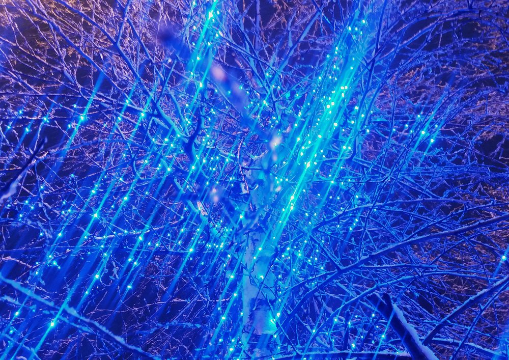 Photograph by Maryna Sydorova