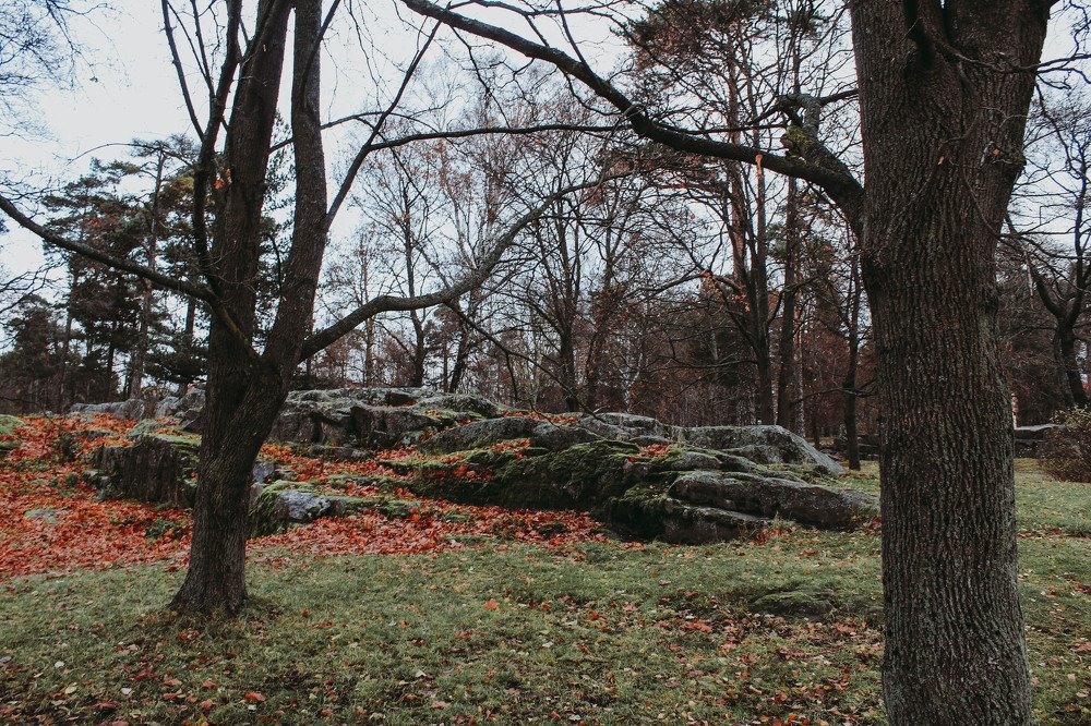 Photograph by Алина Логвиненко