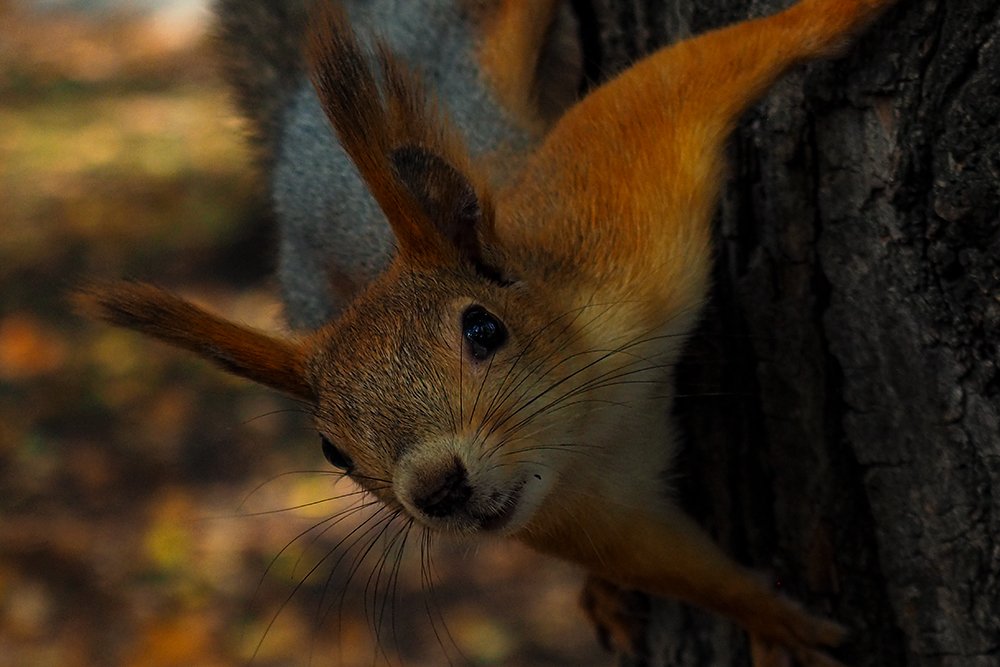Photograph by Elena Khalizova