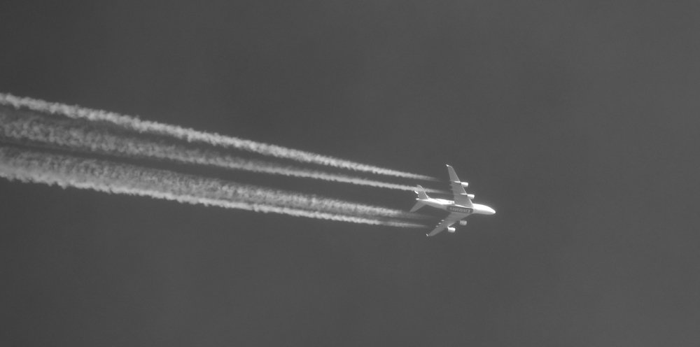 Photograph by Тихонина Анна