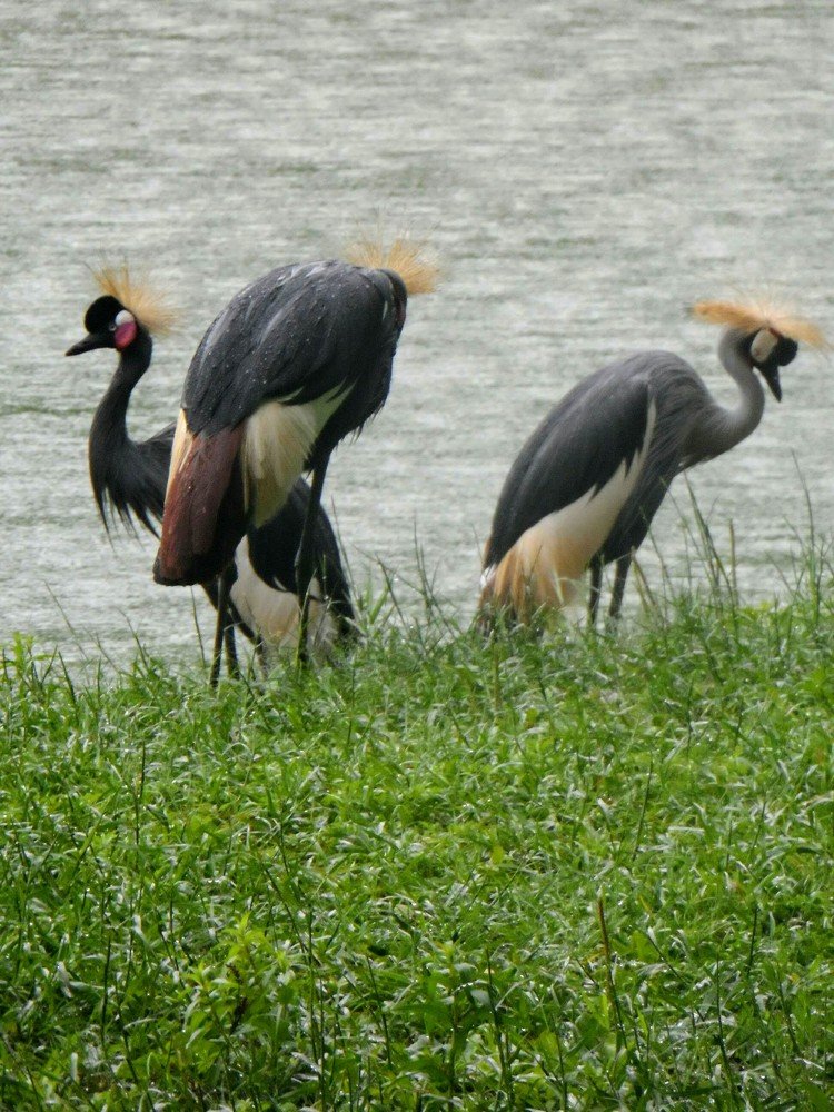 Photograph by Ирина Корнева