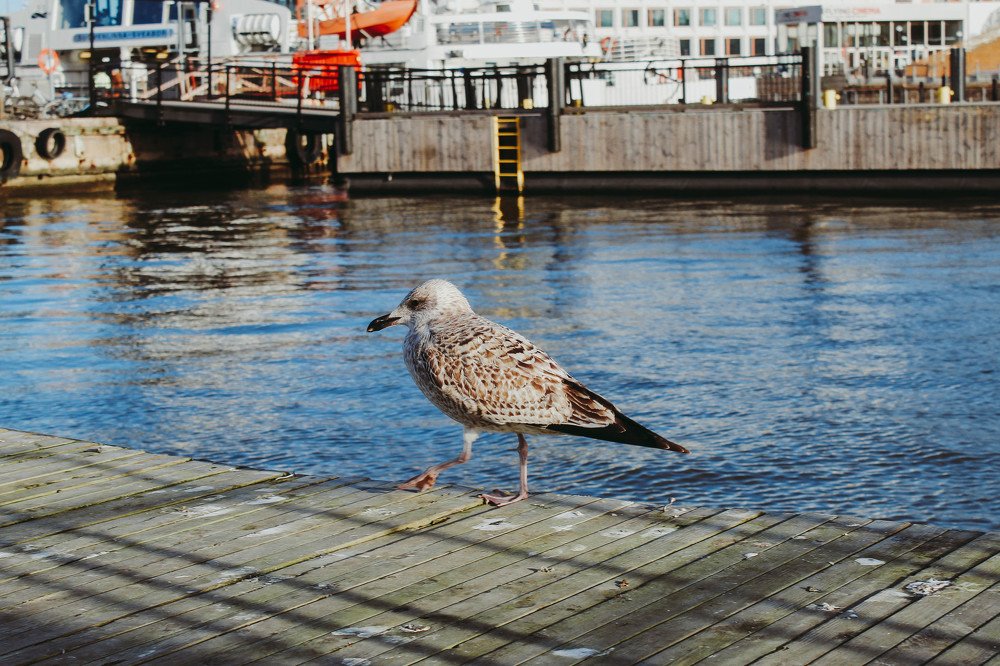 Photograph by Алина Логвиненко