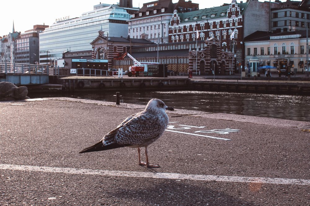 Photograph by Алина Логвиненко