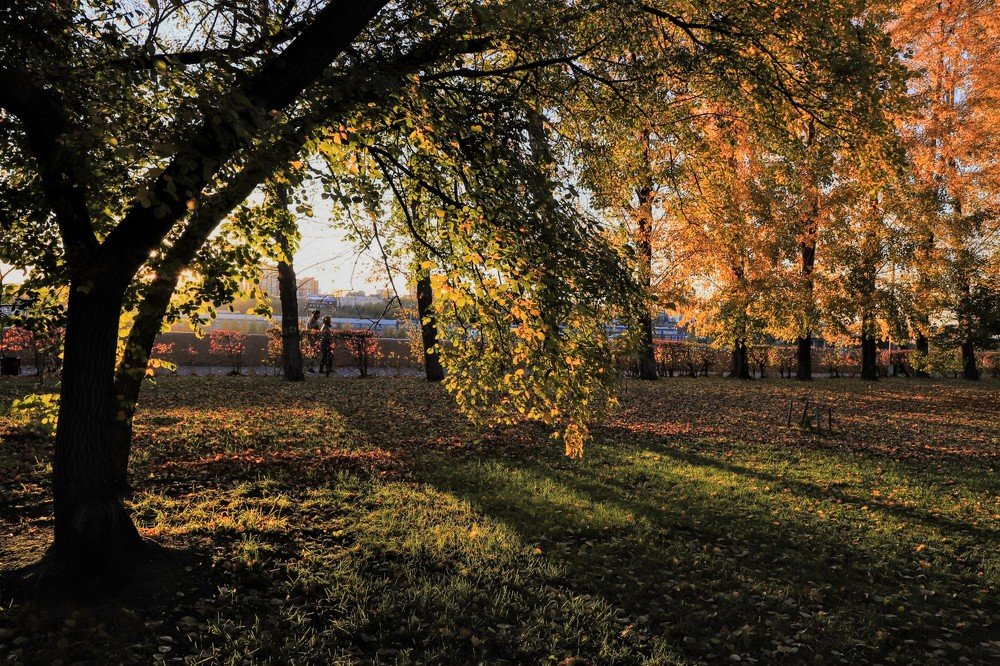 Фотография автора Георгий Петров