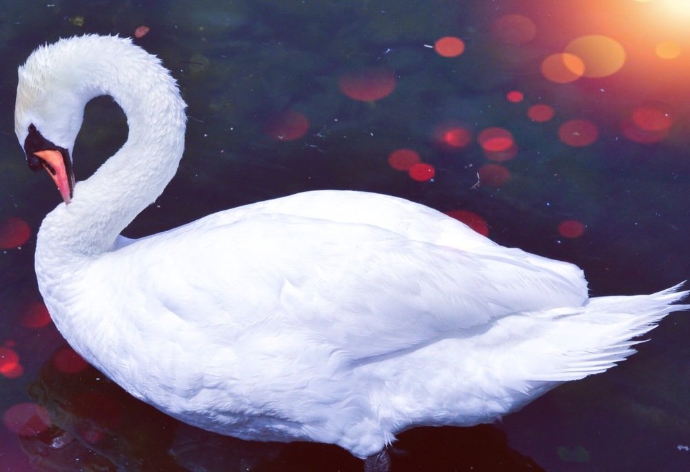 Photograph by Ahsan Ishtiaq