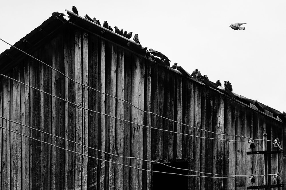 Photograph by Шаргородская Марина