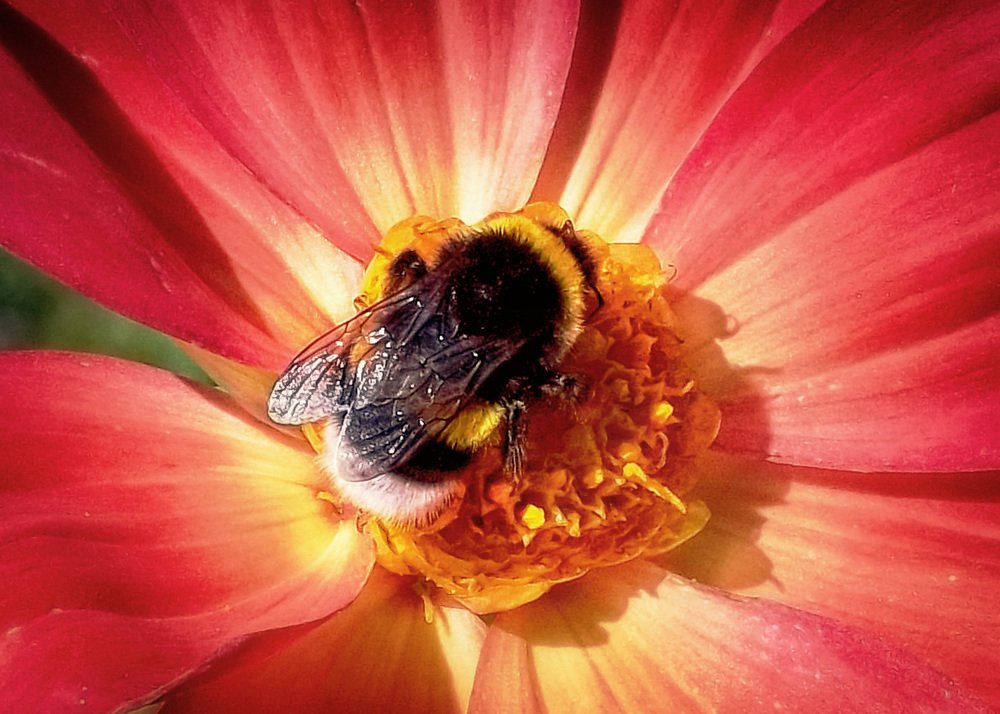 Photograph by Татьяна Колесникова