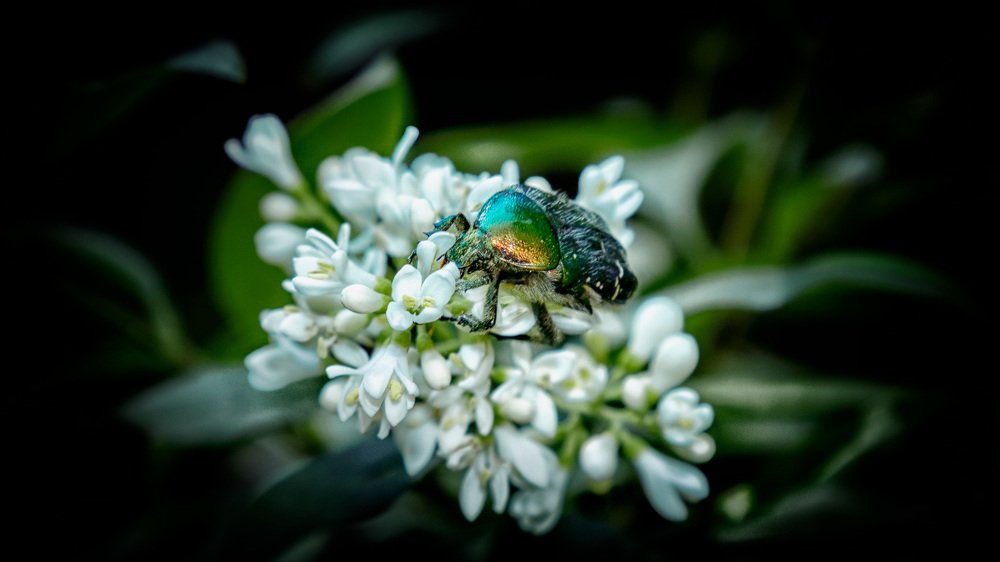 Photograph by Татьяна Колесникова