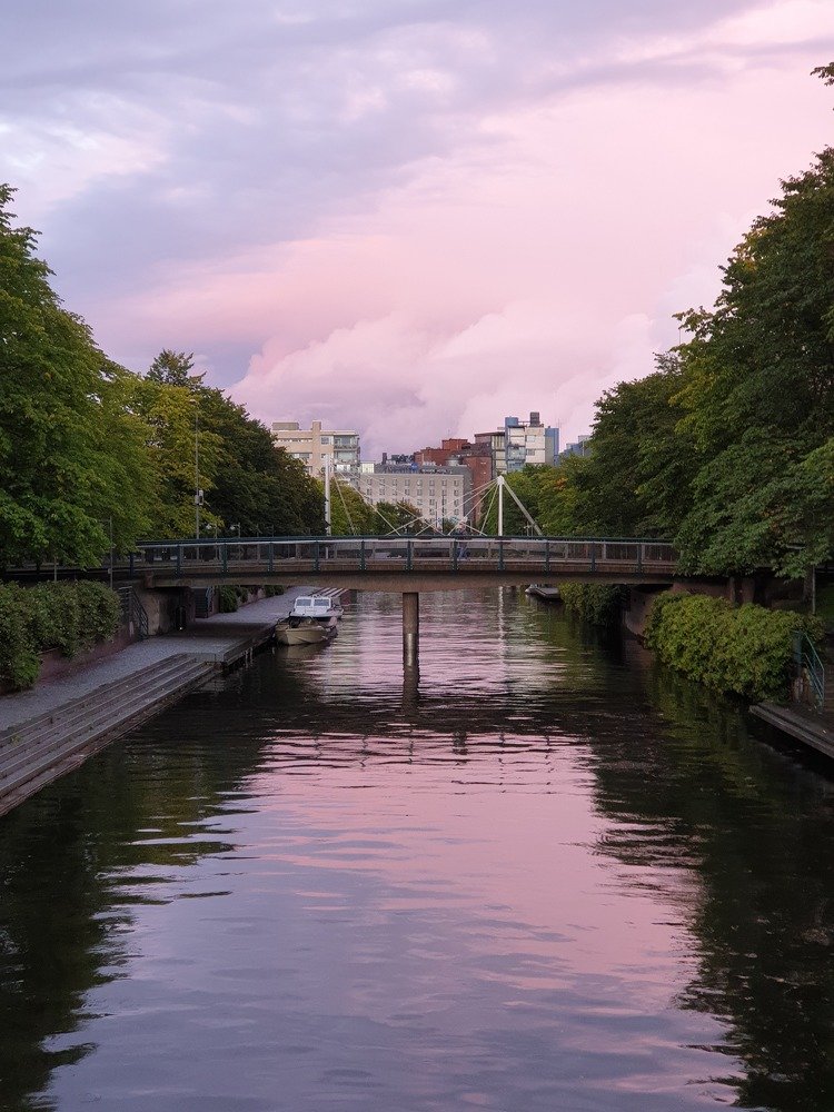 Purple evening in the city