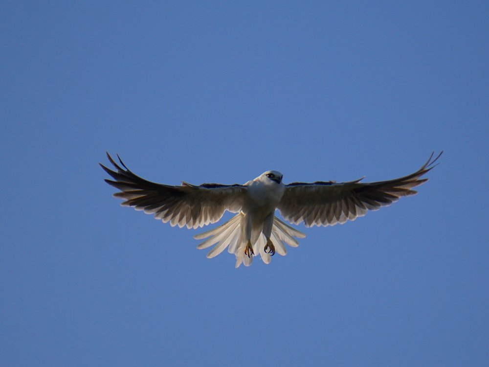 Photograph by Снежана Фирсова