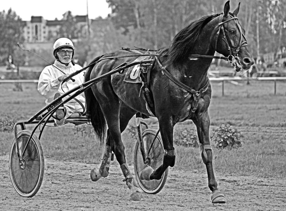 Photograph by Александр Каплан