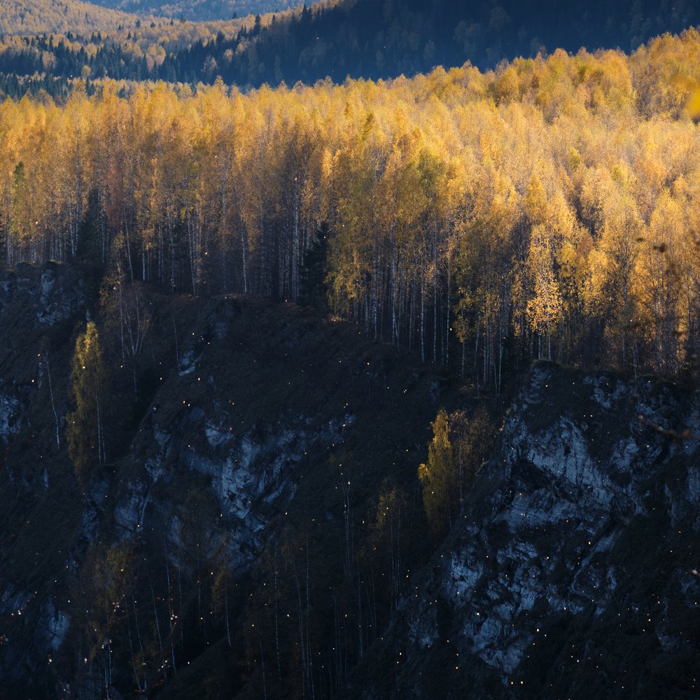 Photograph by Савицкий Ян