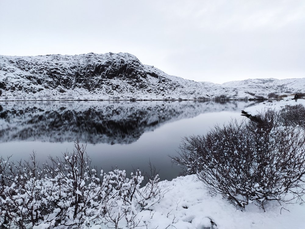 Photograph by Дарья