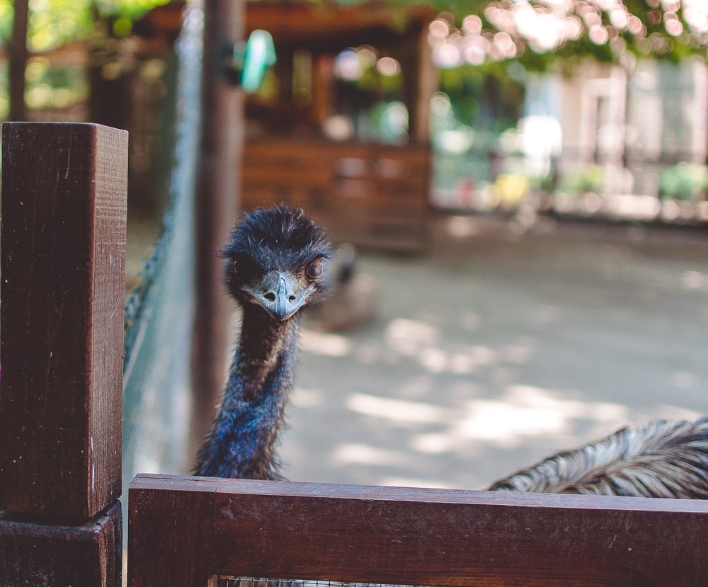 Photograph by Светлана Ветрова