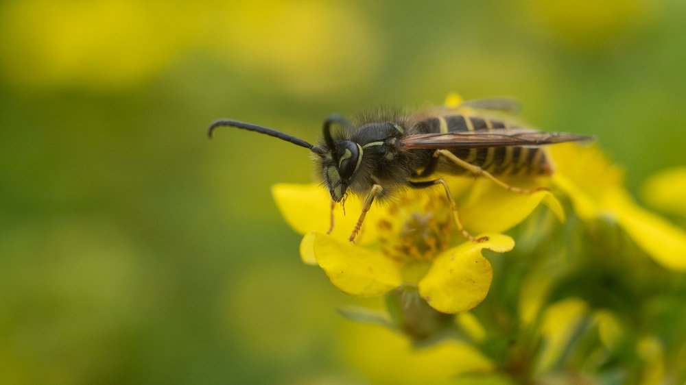 Photograph by Рымаров Александр