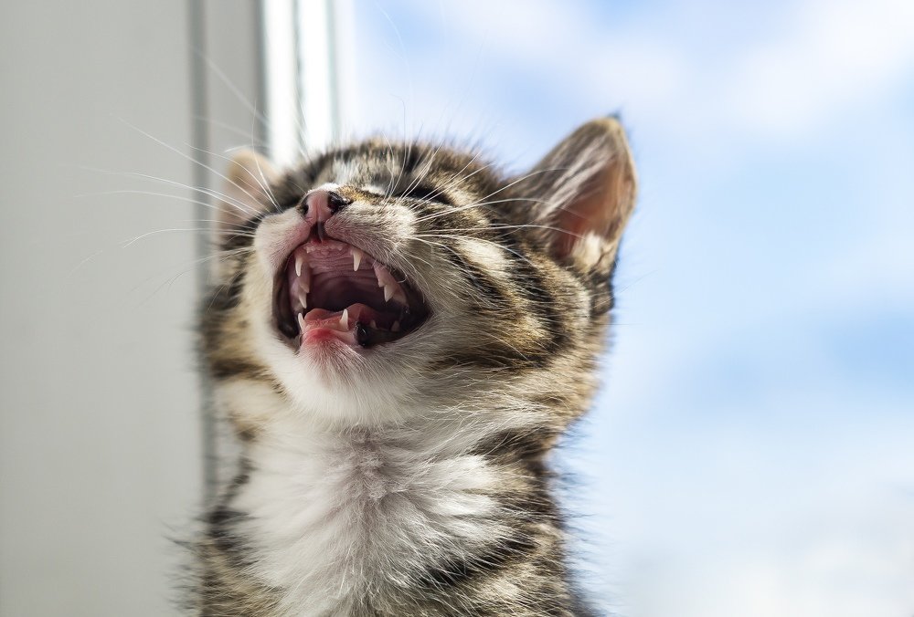 Photograph by Евгений Покрасен