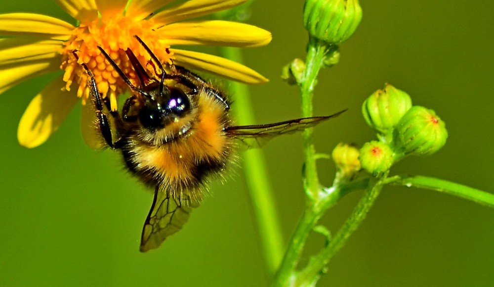 Photograph by Сергей Торхов