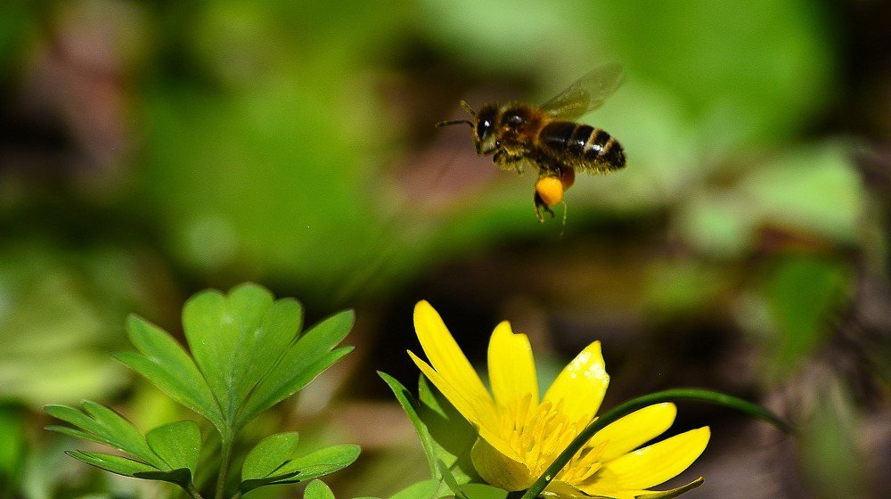 Photograph by Сергей Торхов