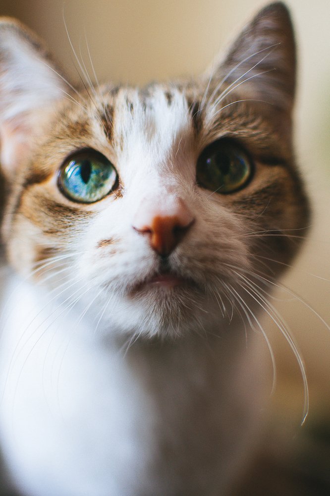 Photograph by Светлана Ветрова