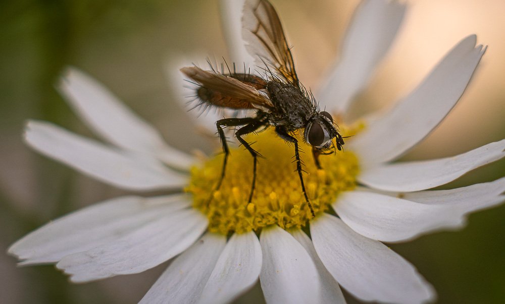 Photograph by Рымаров Александр