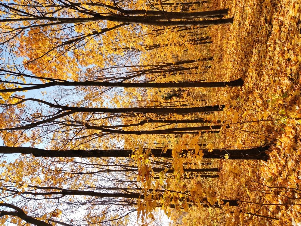 Photograph by Марат Вахитов