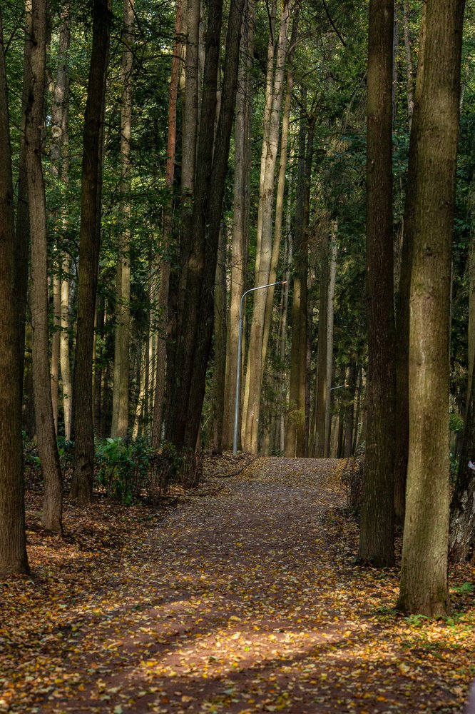 Photograph by Анна Гвоздовская