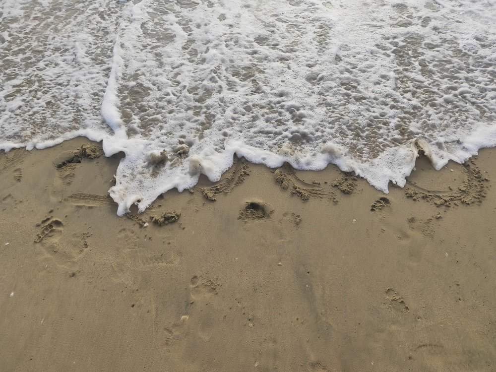 Photograph by Ram Mohan Jirigiri