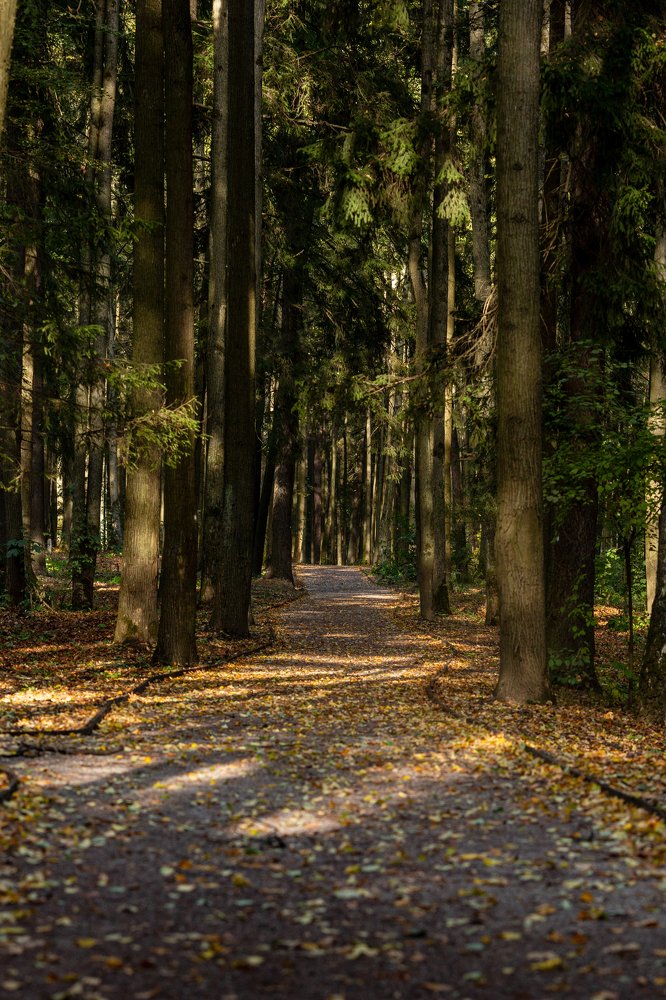 Photograph by Анна Гвоздовская