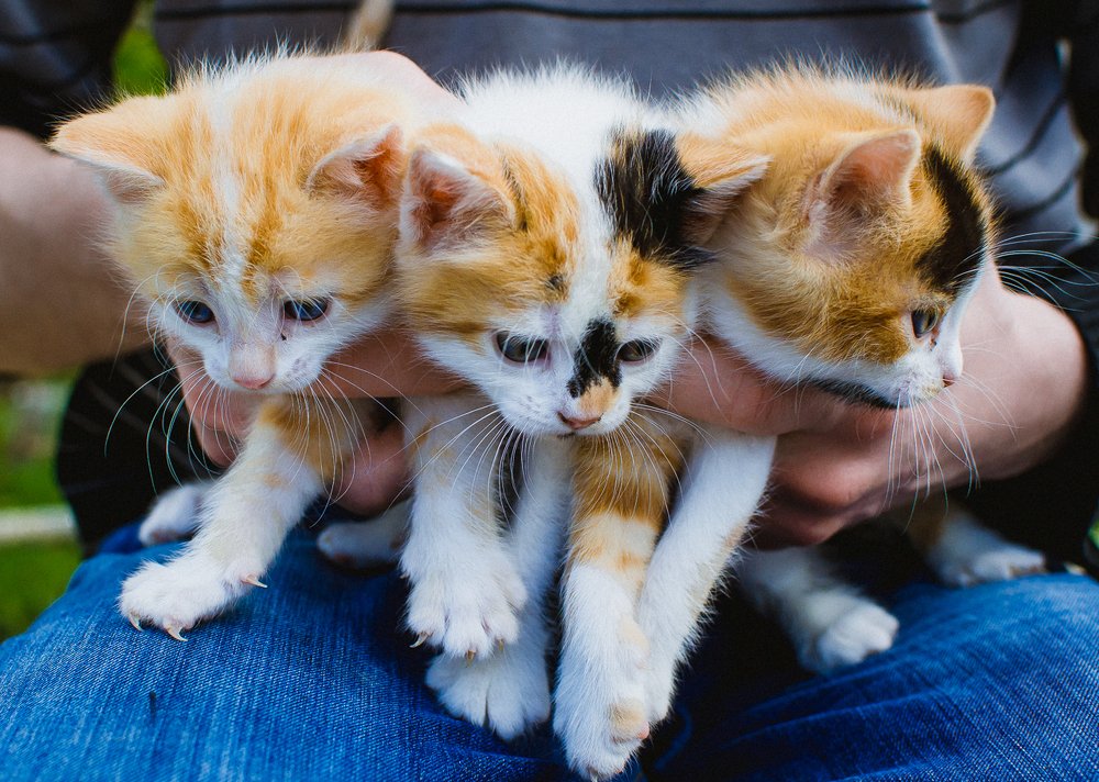 Photograph by Светлана Ветрова