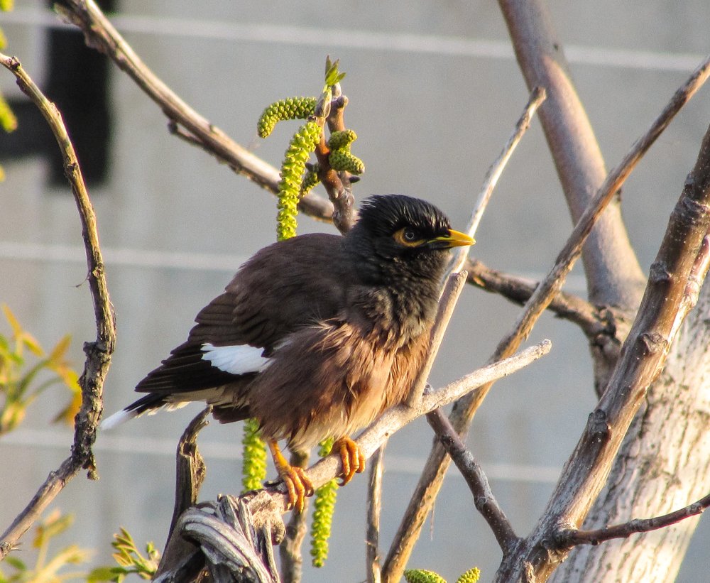 Photograph by Тихонина Анна