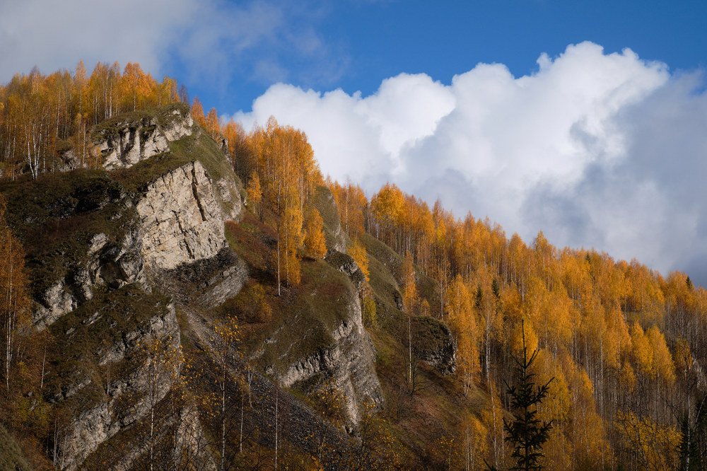 Photograph by Савицкий Ян