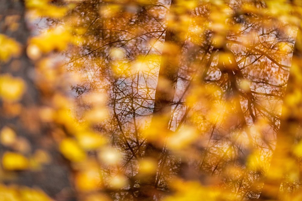 Photograph by Андриян Чаркин